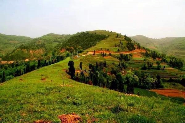 鄉(xiāng)村振興工作動態(tài) (第142期)