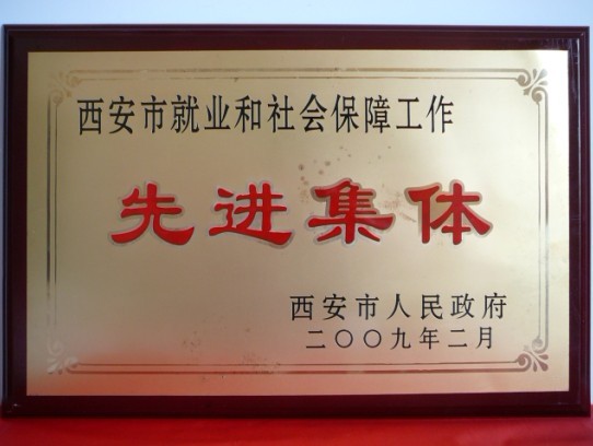 2009年2月，被西安市政府評為西安市就業(yè)和社會保障工作先進集體