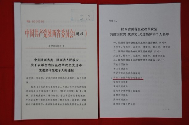 2009年2月，被陜西省委、省政府授予陜西省國有企業(yè)改革攻堅先進集體