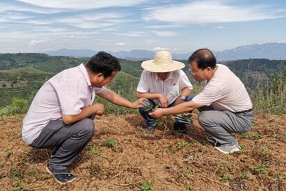 扶貧工作動(dòng)態(tài)(第九十三期)