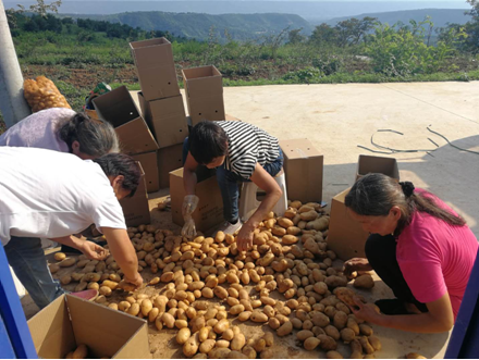 扶貧工作動態(tài)(第114期)