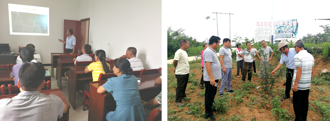 1601371736872641.png 1601371736872641.png